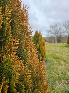 ������� ���� | Imot.bg � ����� ������ 5