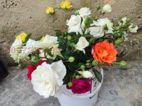 ������� ���� | Imot.bg � ����� ������ 3