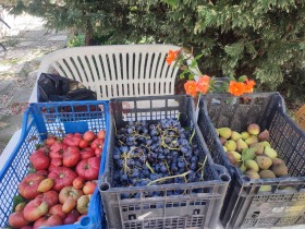 ������� ���� | Imot.bg � ����� ������ 4