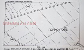 ����� ������� ���������� ����,��. ���� �����, ������ �����