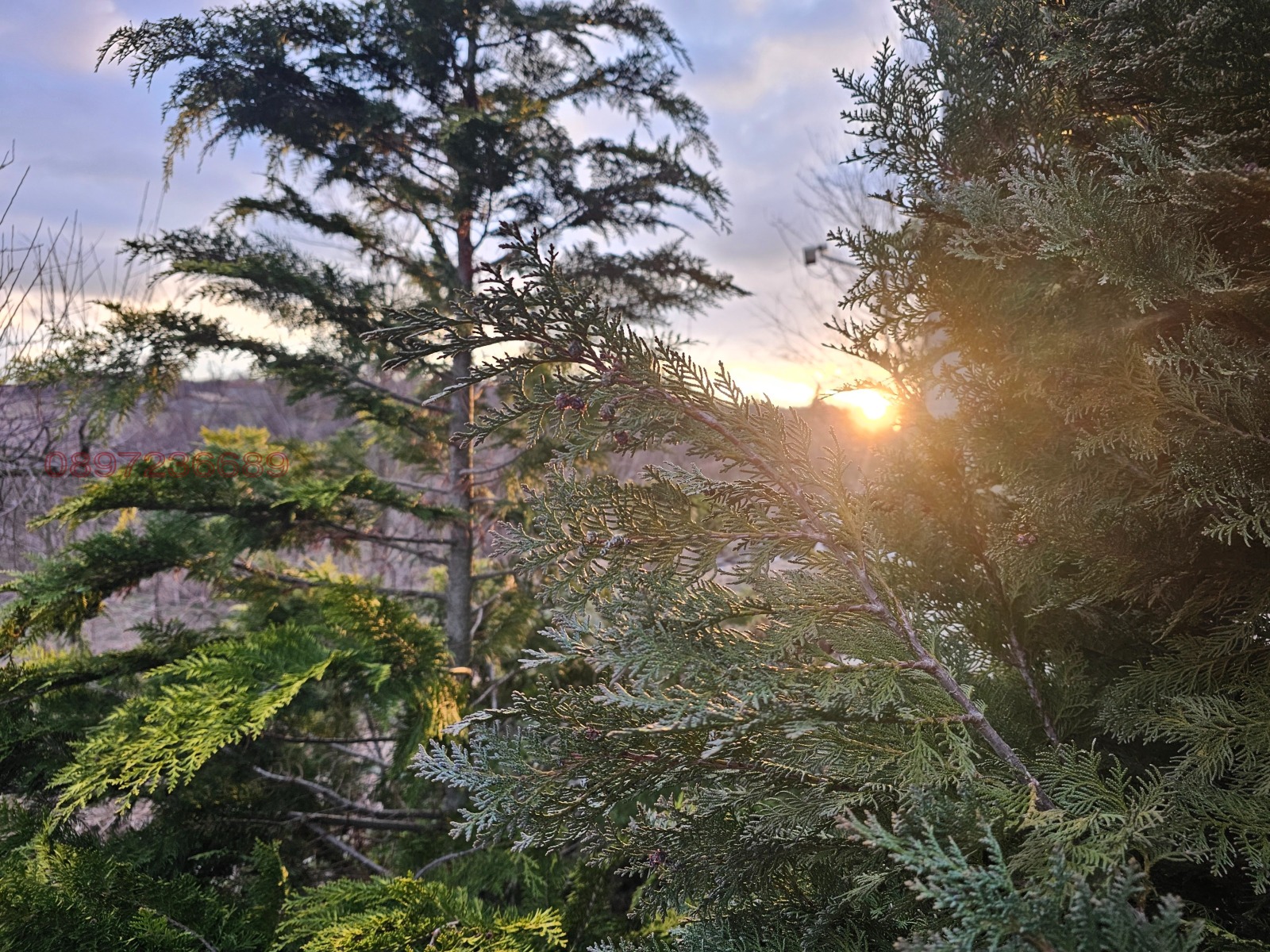 Продава КЪЩА, с. Оборище, област Варна, снимка 13 - Къщи - 53757563