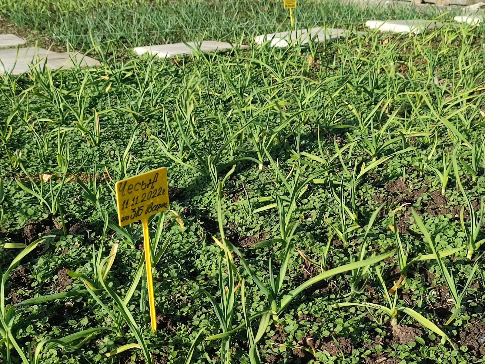 Продава КЪЩА, с. Оборище, област Варна, снимка 8 - Къщи - 53757563