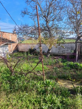 ������� ���� | Imot.bg � ����� ������ 17