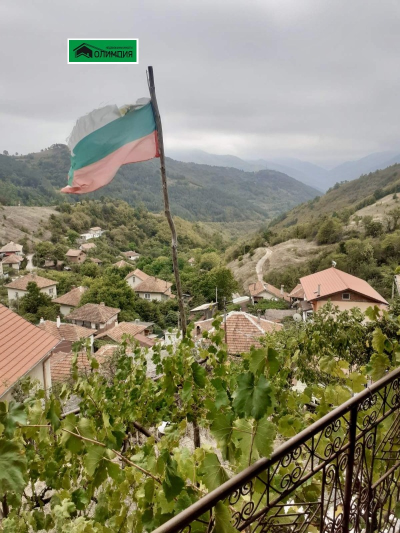 Продава БИЗНЕС ИМОТ, с. Очиндол, област Враца, снимка 3 - Други - 53333498