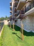 Продава 3-СТАЕН, област Пловдив, гр. Карлово • 178755 € / 349614.39 лв. • 29113517 9