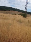 Продава ПАРЦЕЛ, град София, Кремиковци • 232000 € • 15986901 — Holmes.bg
