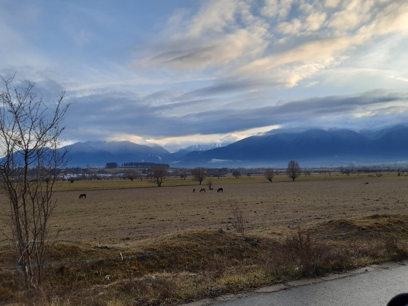 Na prodej  Dům oblast Blagoevgrad , Razlog , 168 m2 | 10302568 - obraz [16]