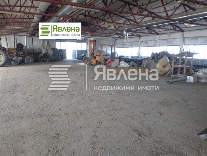 Zu verkaufen  Industriegebäude region Sofia , Litakowo , 10000 qm | 51020414 - Bild [5]