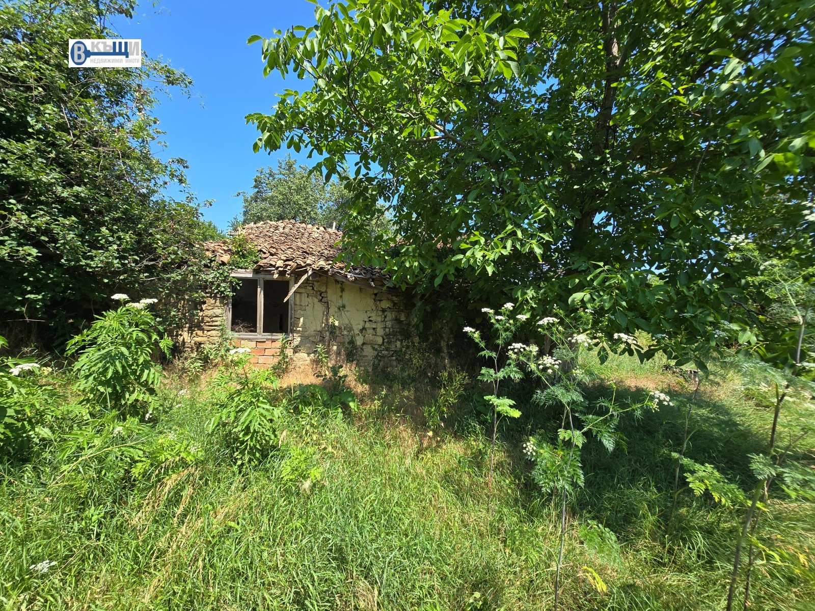 Продава ПАРЦЕЛ, с. Церова кория, област Велико Търново, снимка 2 - Парцели - 55008398
