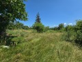 Продава ПАРЦЕЛ, с. Церова кория, област Велико Търново, снимка 1