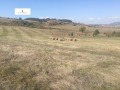 Продава ПАРЦЕЛ, област Перник, с. Рударци • 84000 € • 30845091 — Holmes.bg