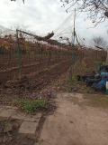 Продава КЪЩА, област Плевен, с. Староселци • 30000 € • 65880674 — Holmes.bg