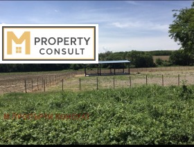 For Sale Plot