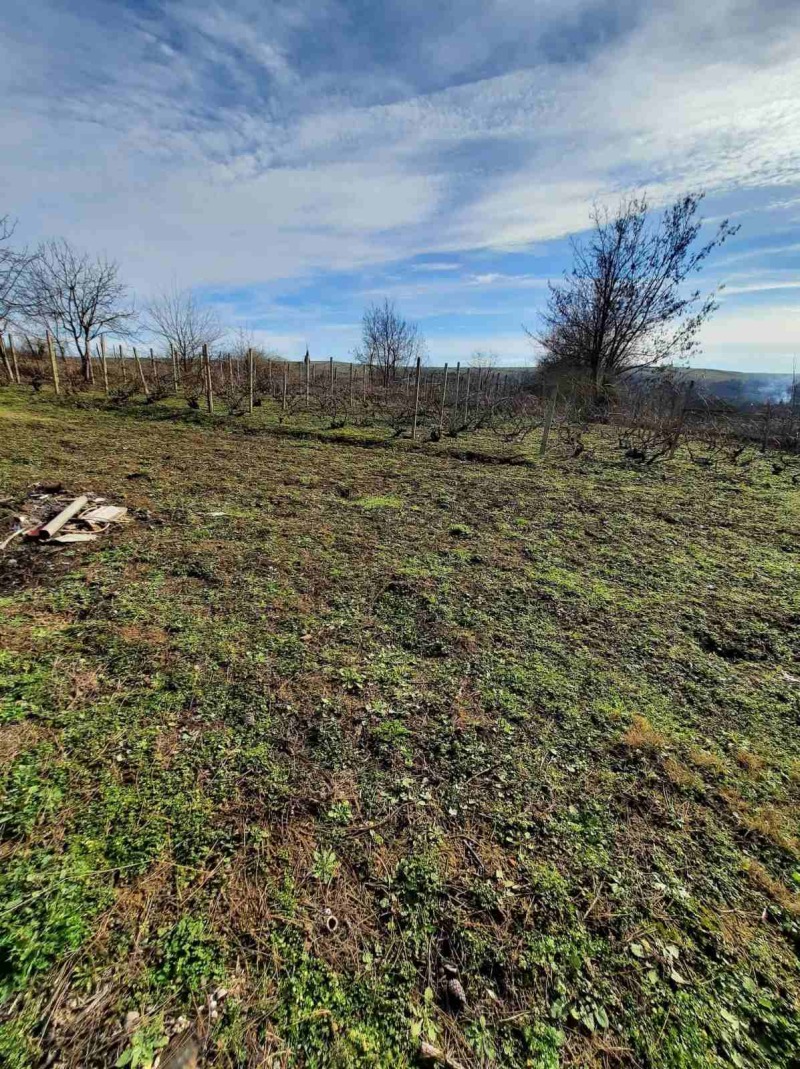 Eladó  Ház régió Veliko Tarnovo , Kozlovec , 142 négyzetméter | 30512876 - kép [14]