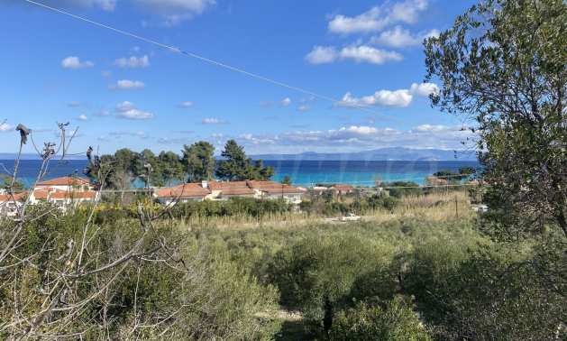 Продава ПАРЦЕЛ, Извън страната, област Извън страната, снимка 2 - Парцели - 51238952