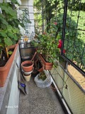 Продава 3-СТАЕН, гр. Плевен, Широк център, снимка 6