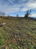 Продава КЪЩА, област Велико Търново, с. Козловец • 40000 лв. • 46772770 — Holmes.bg