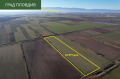 Продава ЗЕМЕДЕЛСКА ЗЕМЯ, с. Труд, област Пловдив, снимка 1