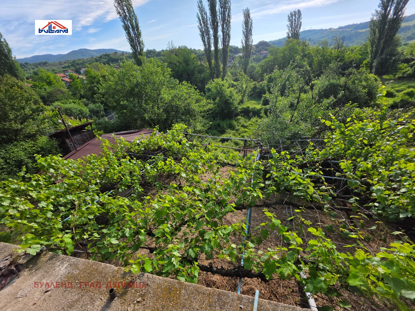 ������� ���� | Imot.bg � ����������� 8