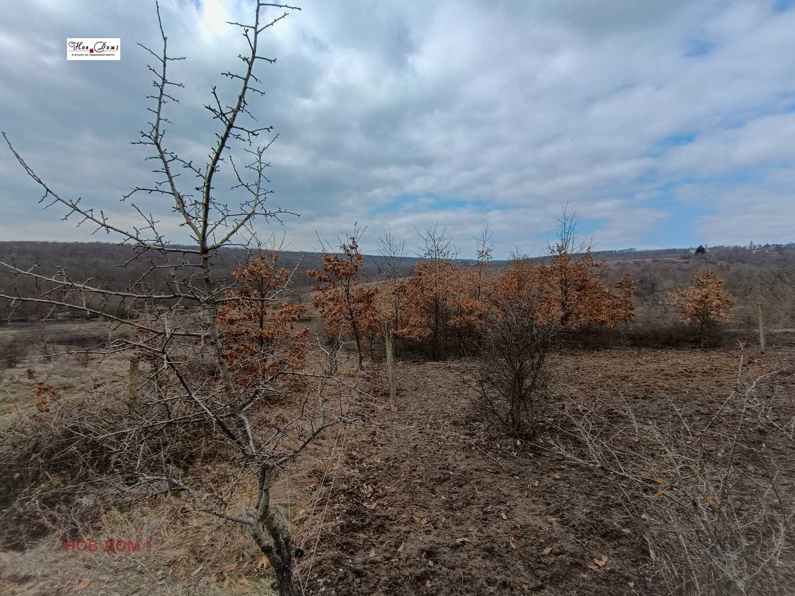 Продава ПАРЦЕЛ, с. Приселци, област Варна, снимка 2 - Парцели - 49359530