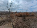Продава ПАРЦЕЛ, с. Приселци, област Варна, снимка 2