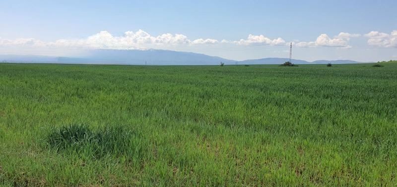 Продава ПАРЦЕЛ | Imot.bg — изображение 3