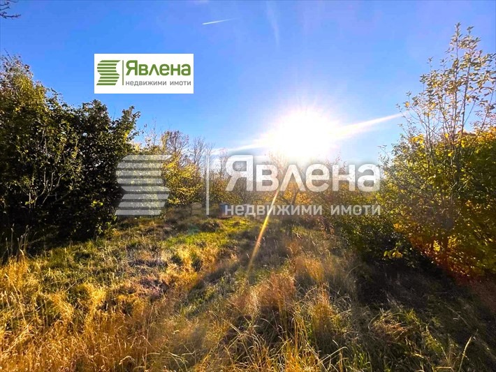 ������� ������ | Imot.bg � ����������� 6