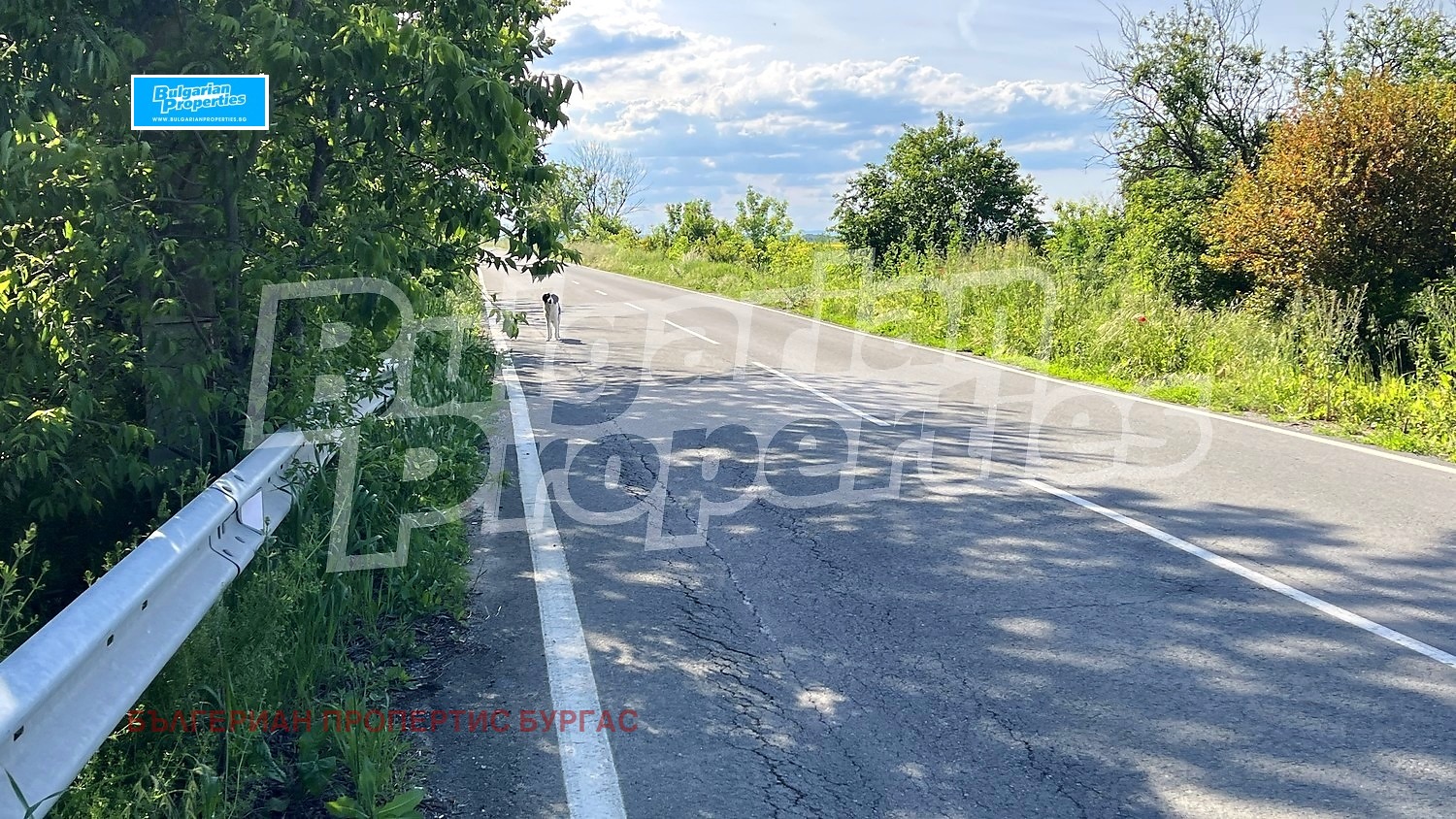 ������� ������ | Imot.bg � ����������� 3