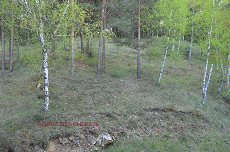 Eladó  2 hálószobás régió Pazardzhik , Velingrad , 123 négyzetméter | 87317812 - kép [13]
