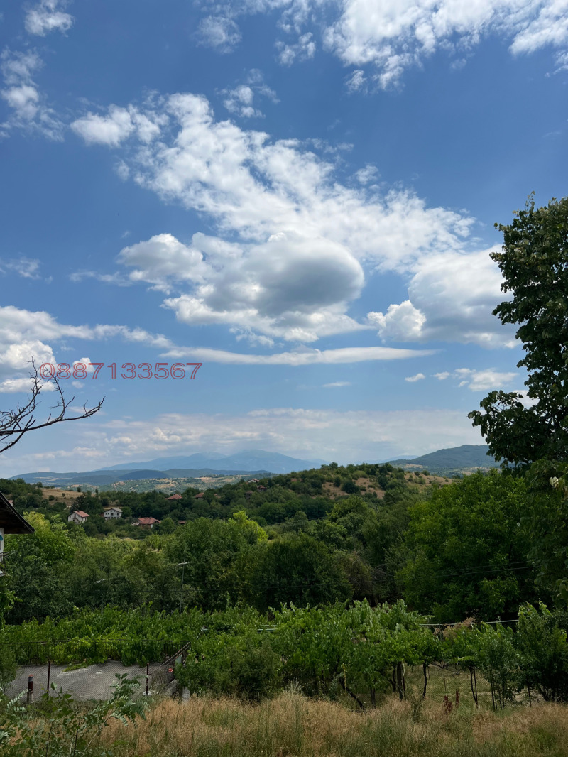 Продава КЪЩА, с. Еремия, област Кюстендил, снимка 6 - Къщи - 52784082