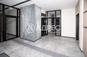 ����� ������� 2-�����,���� �����, ������ 2