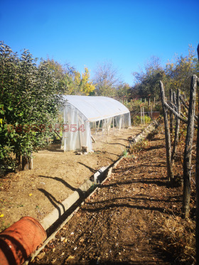 ������� ���� | Imot.bg � ����� ������ 8