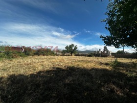 ����� ������� ������,�. ��������, ������ �������