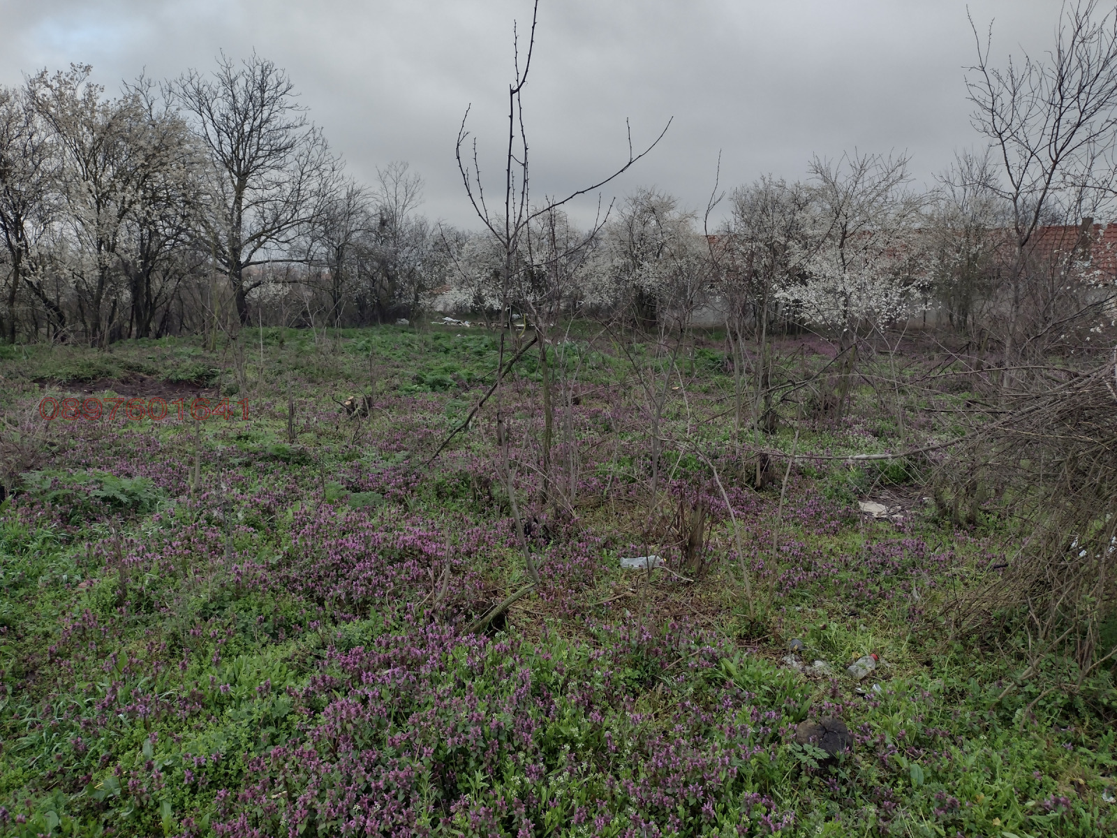 ������� ������ | Imot.bg � ����������� 9