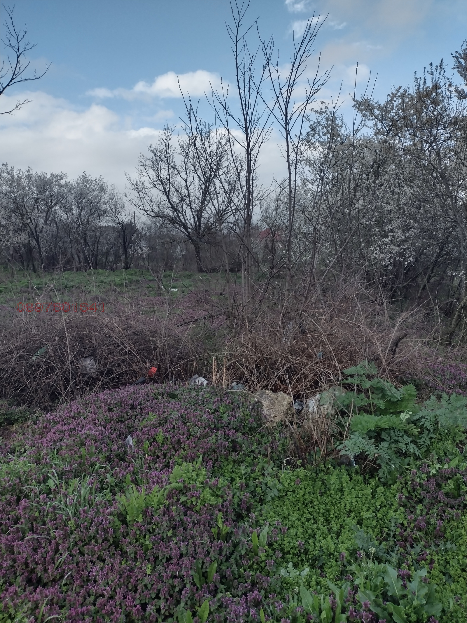 ������� ������ | Imot.bg � ����������� 12