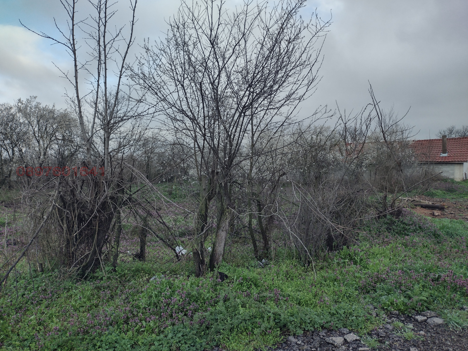 ������� ������ | Imot.bg � ����������� 7