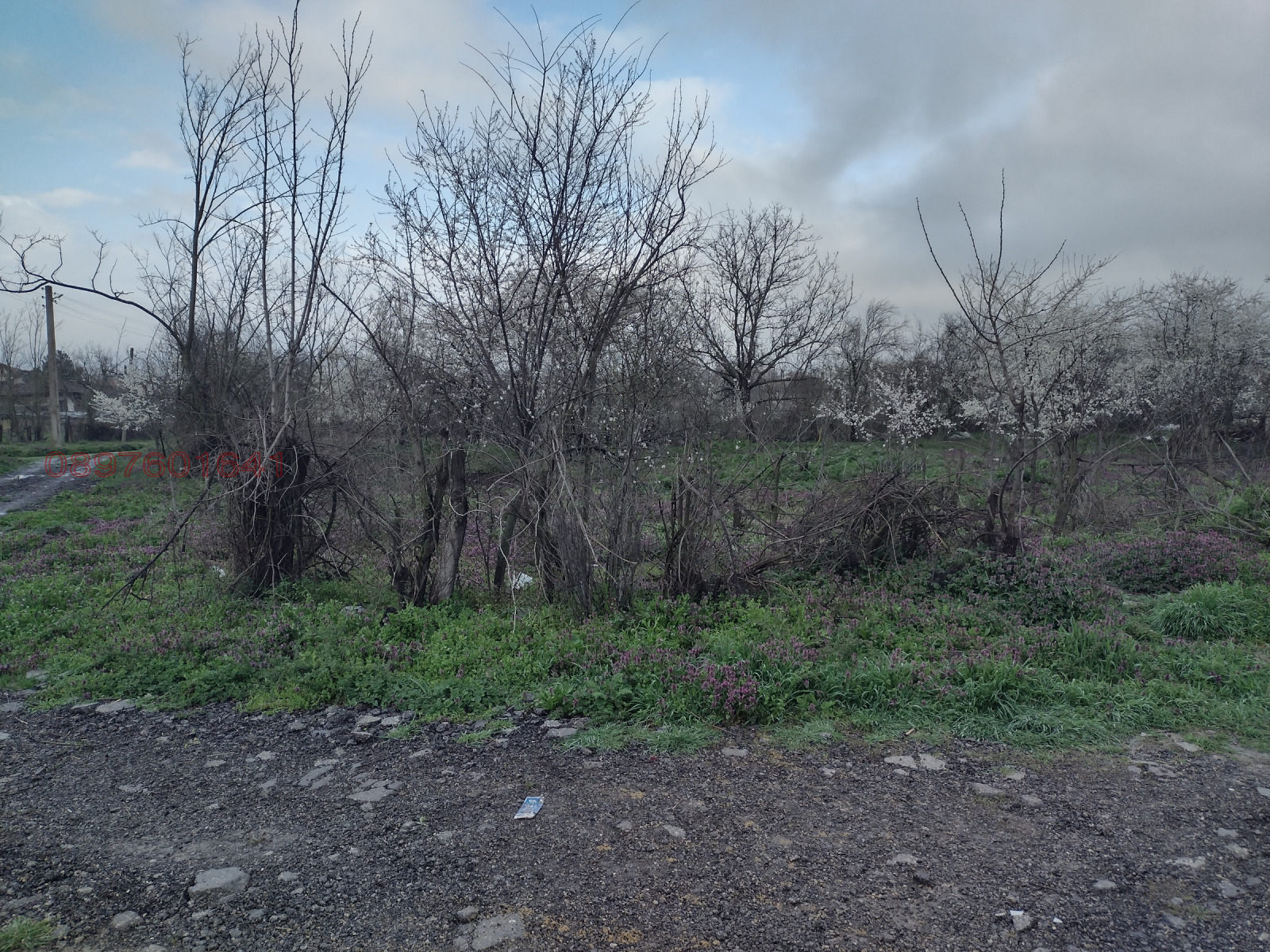 ������� ������ | Imot.bg � ����������� 5