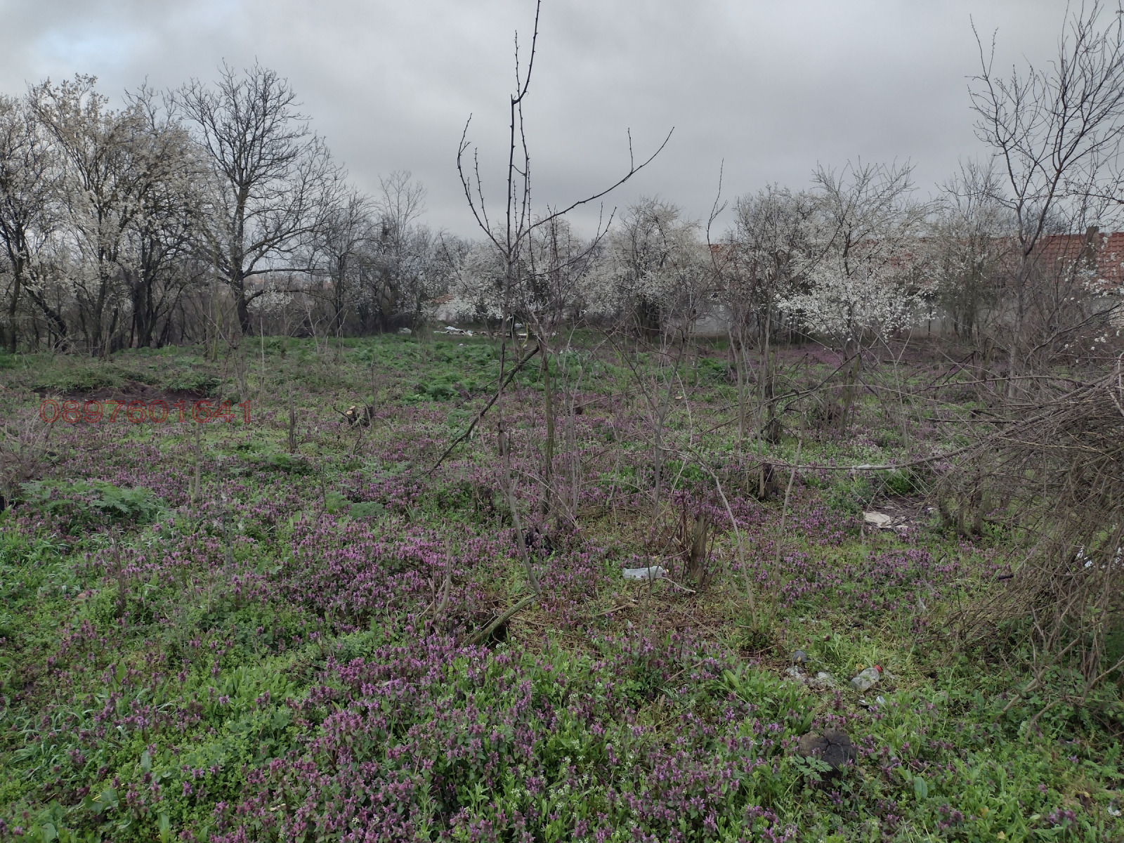 ������� ������ | Imot.bg � ����������� 8