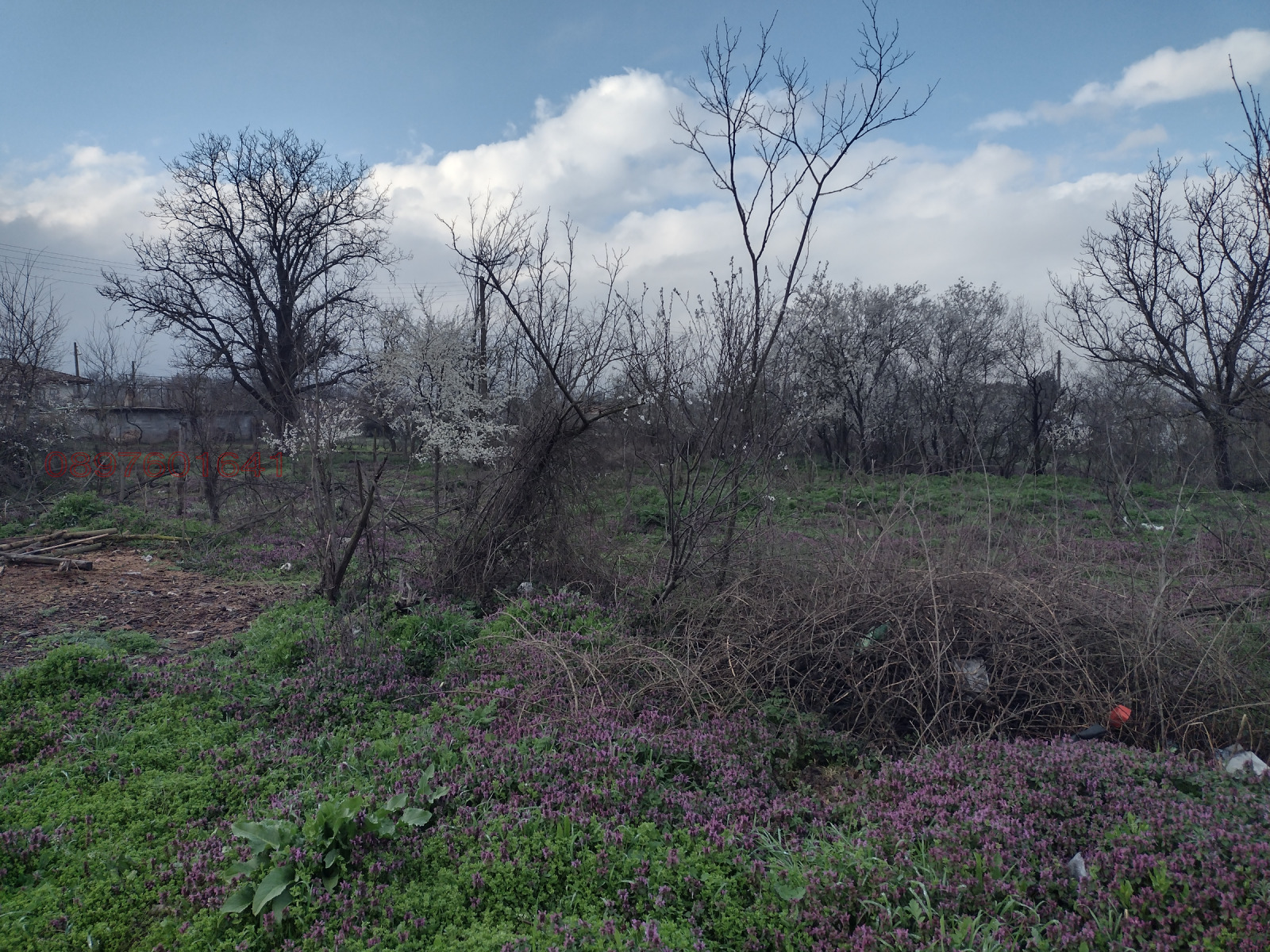 ������� ������ | Imot.bg � ����������� 3