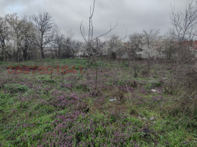 ������� ������ | Imot.bg � ����� ������ 8