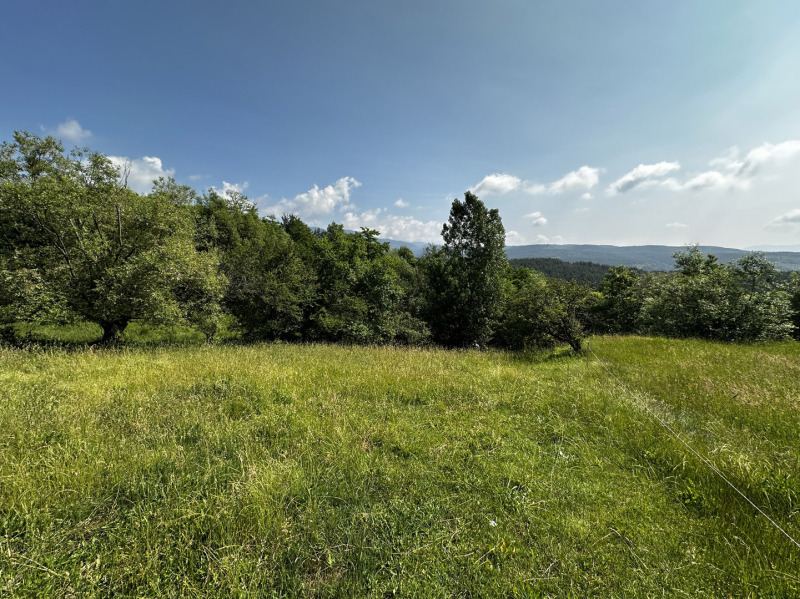 Satılık  Komplo bölge Blagoevgrad , Dobarsko , 718 metrekare | 95049095 - görüntü [4]
