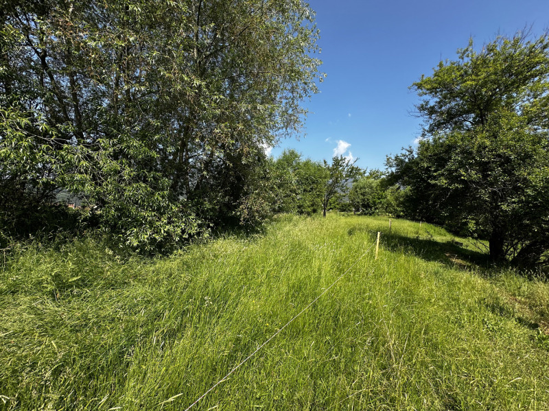 Satılık  Komplo bölge Blagoevgrad , Dobarsko , 718 metrekare | 95049095 - görüntü [6]