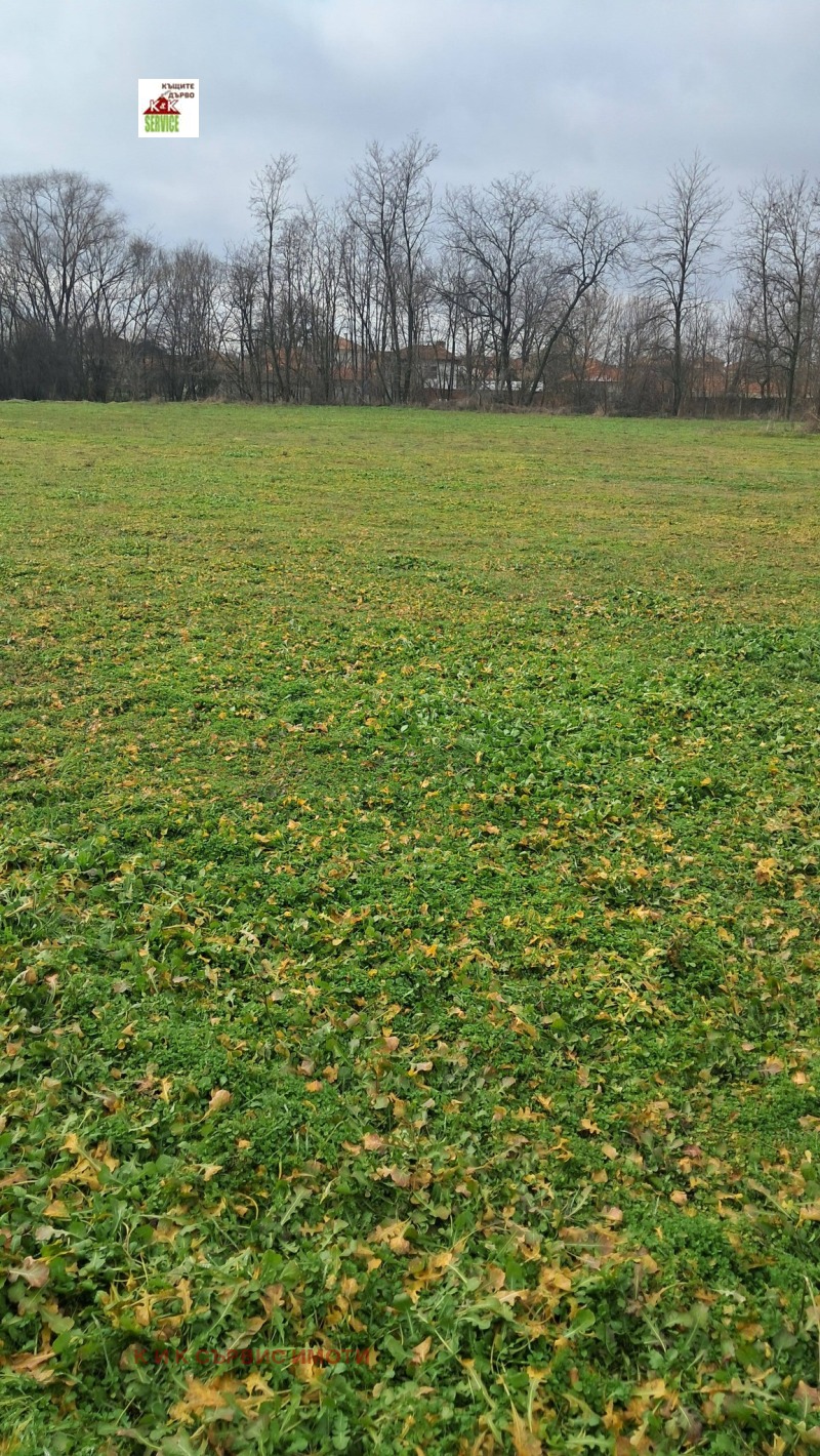 Продава ПАРЦЕЛ, с. Ново Железаре, област Пловдив, снимка 5 - Парцели - 53473072