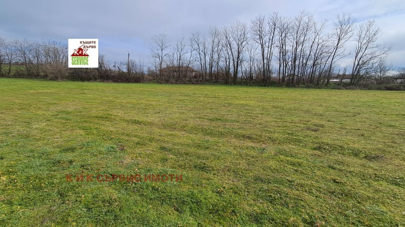 Продава ПАРЦЕЛ, с. Ново Железаре, област Пловдив, снимка 2 - Парцели - 53473072