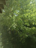 Продава 3-СТАЕН, град София, Люлин 4 • 147000 € • 17513761 — Holmes.bg