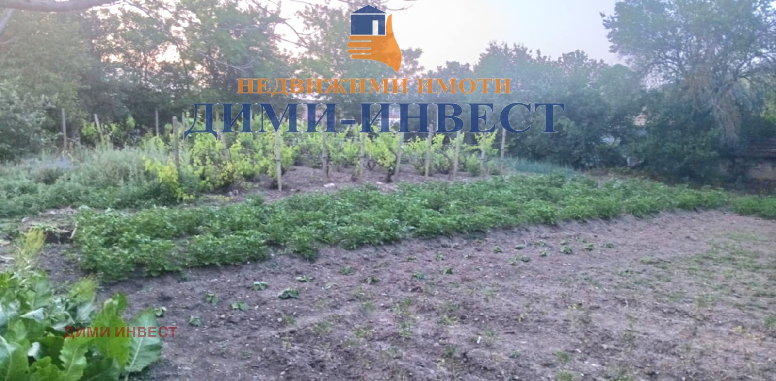 ������� ���� | Imot.bg � ����������� 1