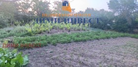 ������ ������� ����