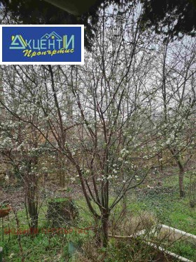 ������� ���� | Imot.bg � ����� ������ 8