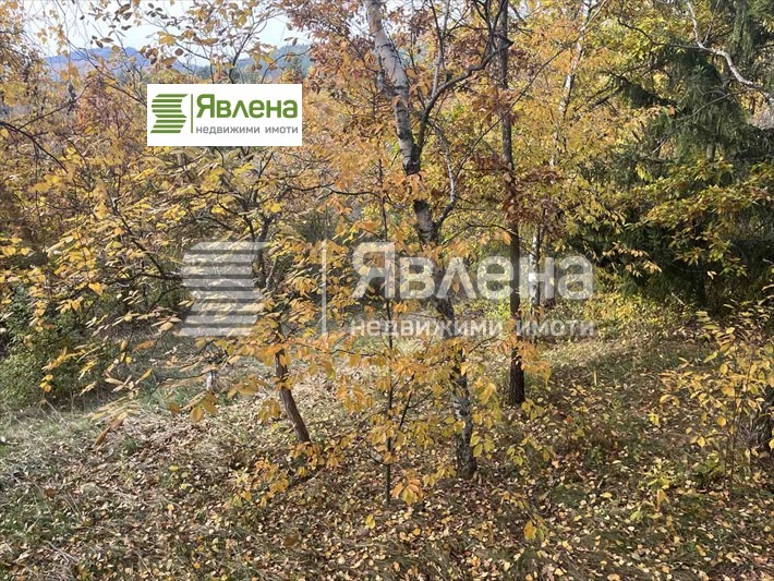 For Sale  House region Sofia , Dramsha , 35 sq.m | 35812382 - image [3]