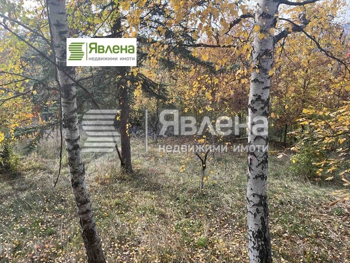 For Sale  House region Sofia , Dramsha , 35 sq.m | 35812382 - image [4]